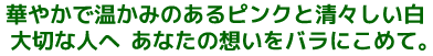 華やかで温かみのあるピンクと清々しい白、大切な人へ あなたの想いをバラにこめて。