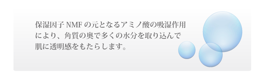 保湿因子NMFの元となるアミノ酸の吸湿作用により、角質の奥で多くの水分を取り込んで肌に透明感をもたらします。