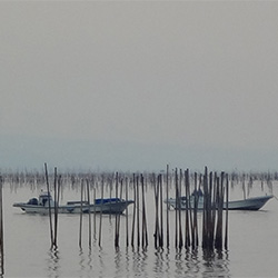 海の写真２